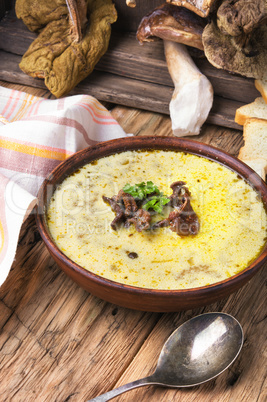 Rustic mushroom soup