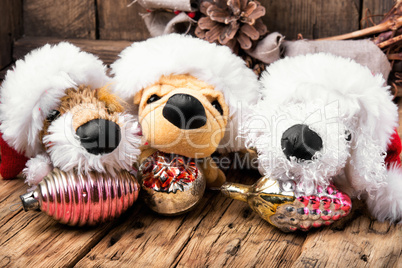 Christmas decoration with toy dog