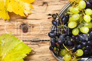 grapes on a tray