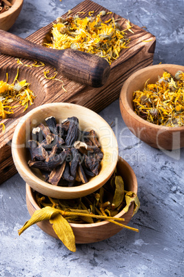 Set of dried medicinal plants