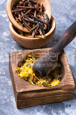 set of dried medicinal plants