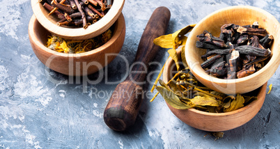 Set of dried medicinal plants