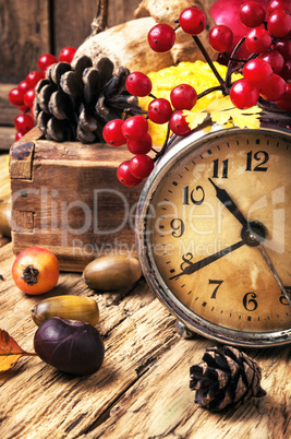 alarm clock and autumn symbols
