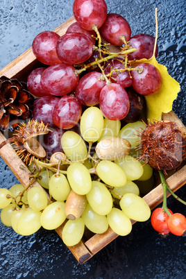 Autumn background with grapes.