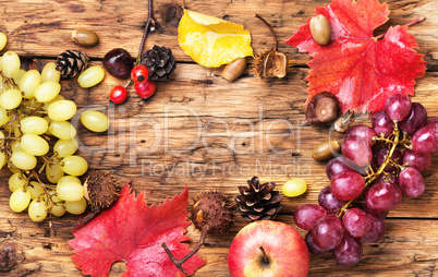Autumn background with grapes.