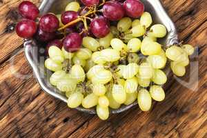 Ripe autumn grapes