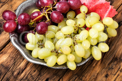 Ripe autumn grapes