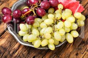 Ripe autumn grapes