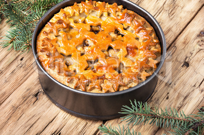 rustic Christmas home pie