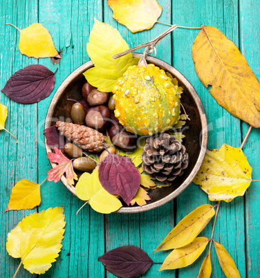 symbolic autumnal still life