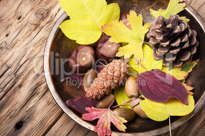 symbolic autumn still life