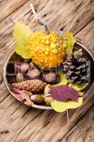 symbolic autumn still life