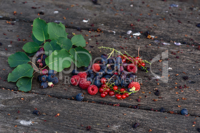 Ripe shadberry, redcurrant, raspberry with branch on wooden table