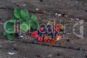 Ripe shadberry, redcurrant, raspberry with branch on wooden table