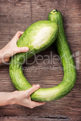 Fresh green zucchini