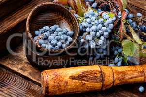 Berries in herbal medicine