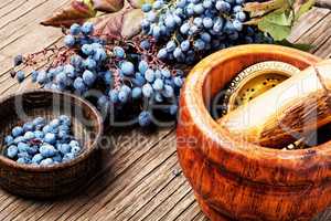 Berries in herbal medicine