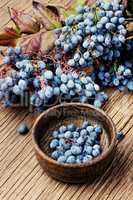 Berries in herbal medicine
