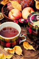 Cup of tea with autumn leaves