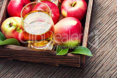 Apple cider cocktail