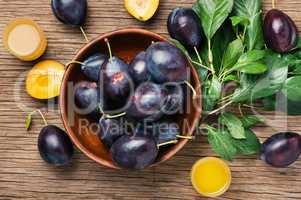 Plum alcoholic beverage