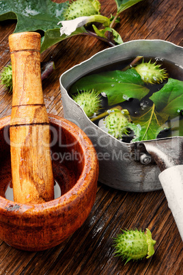 Natural herbs medicine,datura