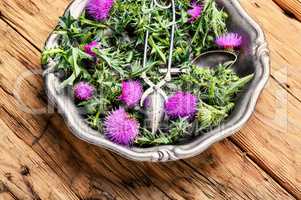 Onopordum and herbalism.Thistle