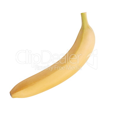 raw Yellow Banana Isolated raw Yellow Banana Isolated