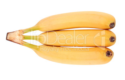 many yellow banana isolated