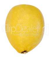 yellow raw lemon isolated