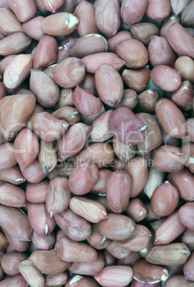 Arachis background