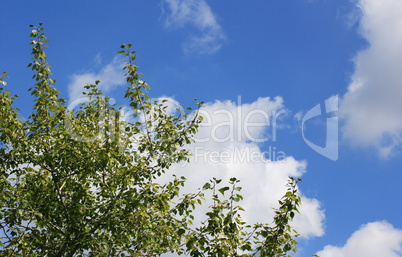 cloud on blue sky