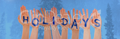 Many Hands Building Word Holidays, Cold Winter Forest