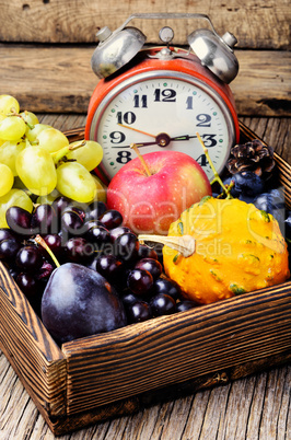 Beautiful autumn harvest and clock