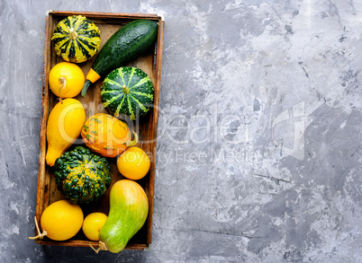 Autumn still life with pumpkins