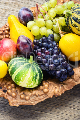 Beautiful autumn harvest