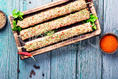 Traditional meat kebab with spices.