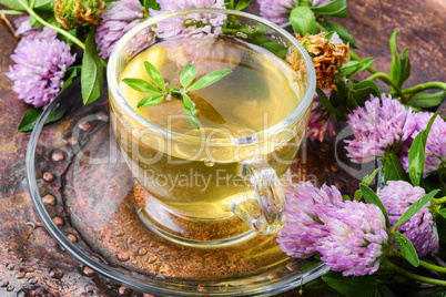 Healthy tea with clover