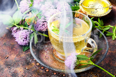 Hot herbal tea with clover