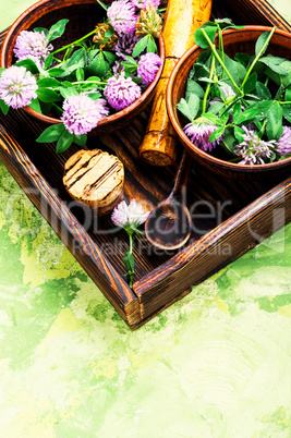 Healing plant clover