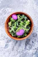 Onopordum and herbalism.Thistle