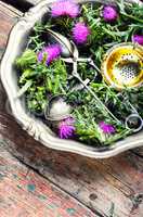 Onopordum and herbalism.Thistle