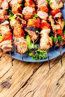 Grilled meat skewers, shish kebab