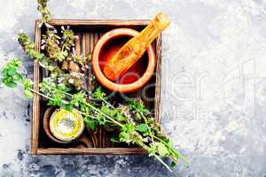 Nepeta,healing herbs and Herbalism