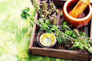 Nepeta,healing herbs and Herbalism