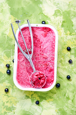 Berry ice cream sorbet
