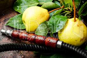 Eastern shisha with pear