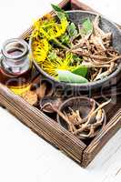 Root and tincture of elecampane