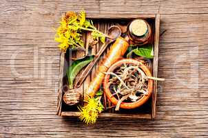 Root and tincture of elecampane