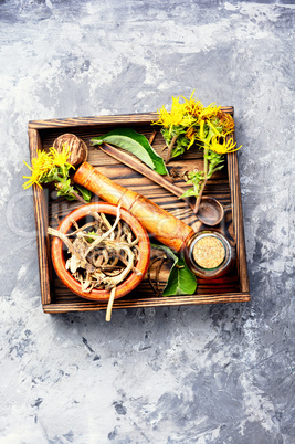 Root and tincture of elecampane